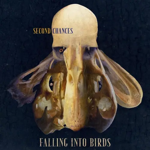 Falling into Birds - Second Chances (2025)