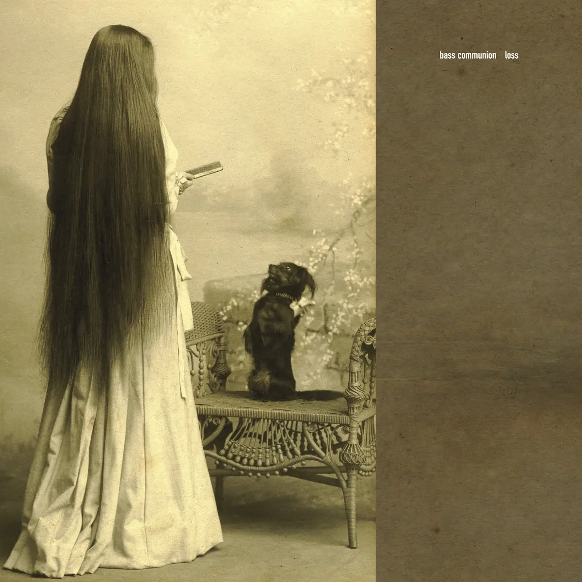 Bass Communion - Loss (2006)