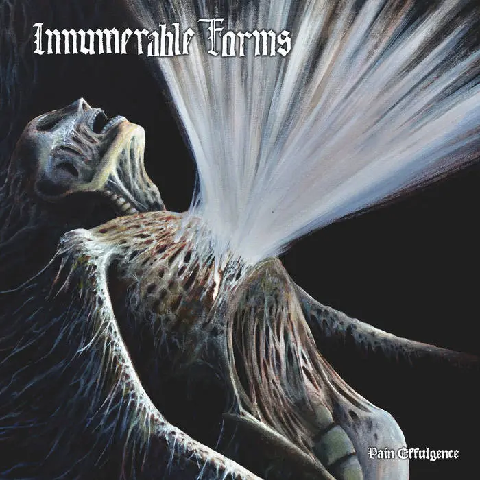 Innumerable Forms - Pain Effulgence (2025)