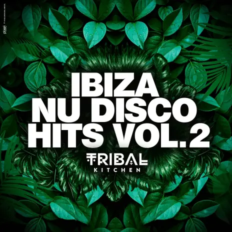 Ibiza Nu Disco Hits Vol. 2 (Tribal Kitchen) (2025)