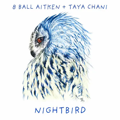 8 Ball Aitken, Taya Chani - Nightbird (2025)