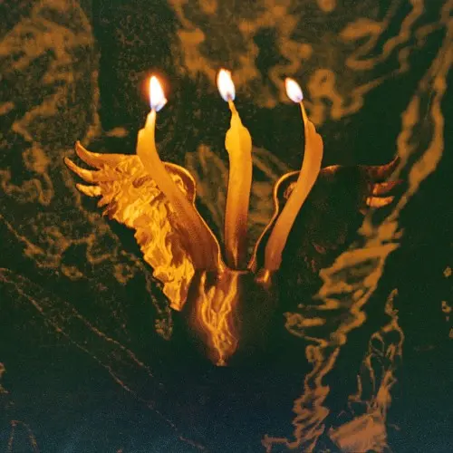 Shmulikraut - Guts Voyage (2025)