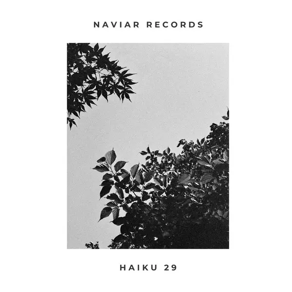 Naviar Haiku 29 (2025)