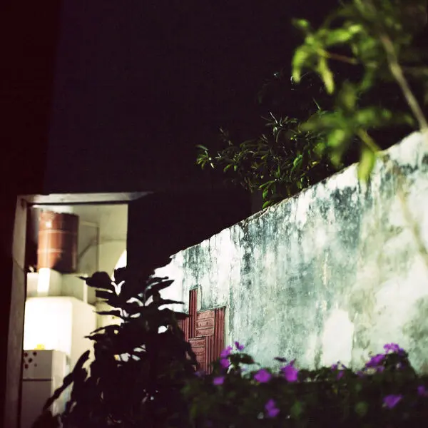 Anthony Wilson Nonet - House of the Singing Blossoms (2025)