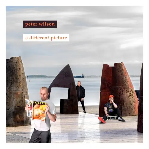 Peter Wilson - A Different Picture (2025)