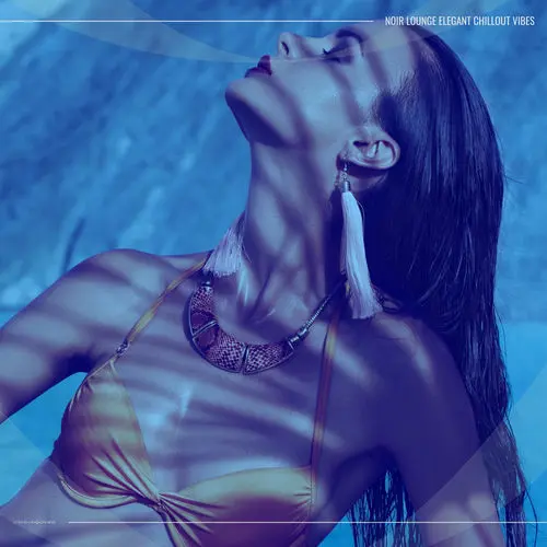 Noir Lounge Elegant Chillout Vibes (2025)