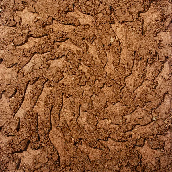 Toro Y Moi - Unerthed: Hole Erth Unplugged (2025)