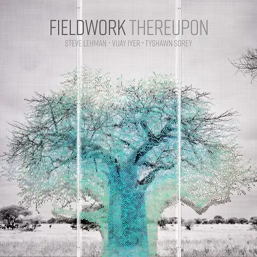 Fieldwork - Thereupon (2025)
