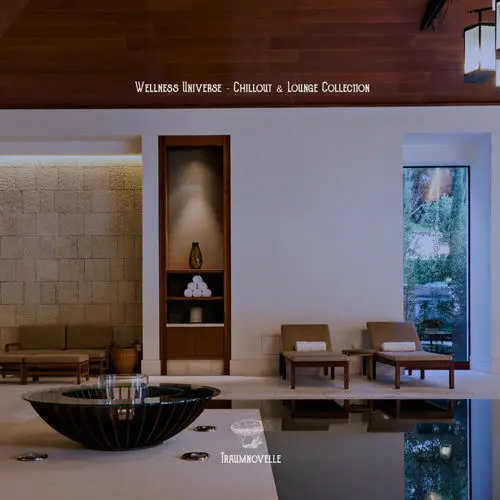 Wellness Universe - Chillout & Lounge Collection (2025)