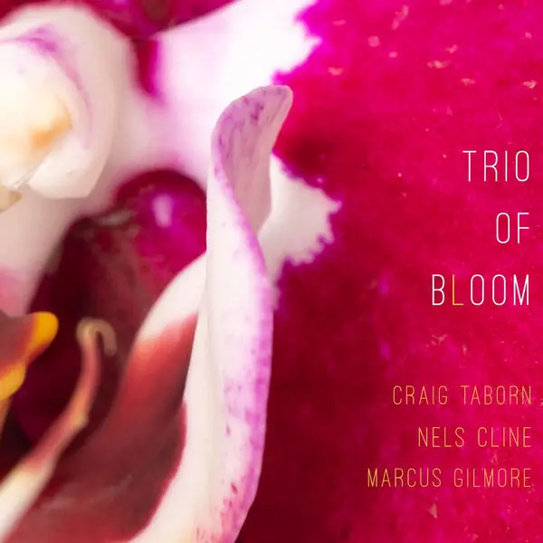 Trio of Bloom - Trio of Bloom (2025)