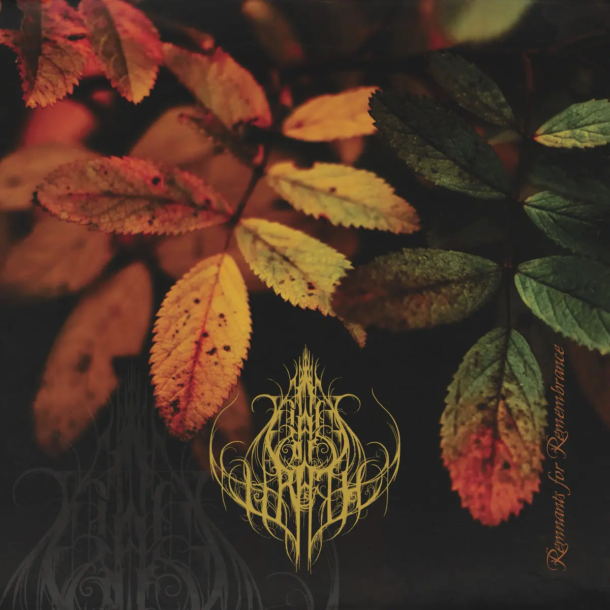 Vials of Wrath - Remnants for Remembrance (2025)