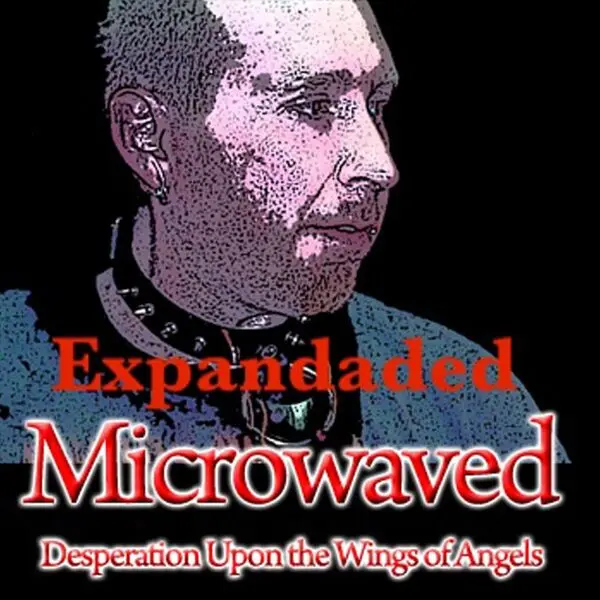 Microwaved Desperation Upon the Wings of Angels (Expanded)