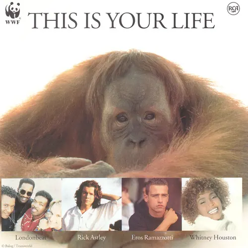 This Is Your Life (1991)