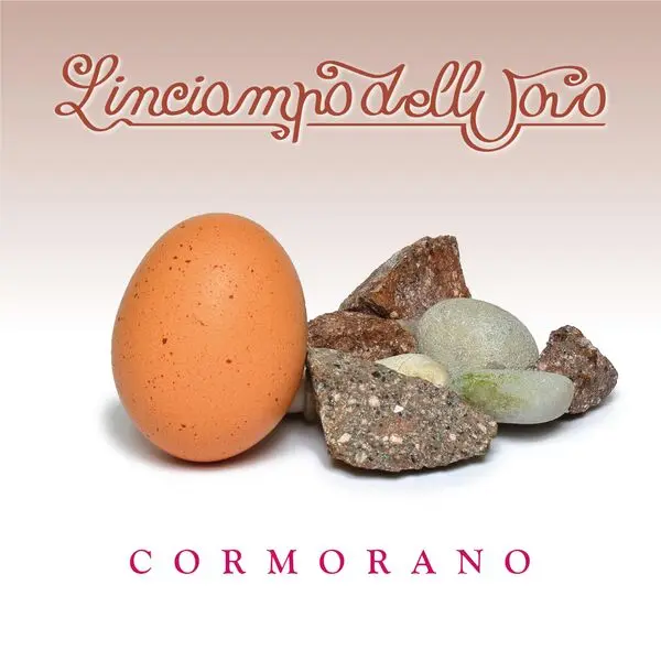 Cormorano / L'Inciampo Dell'Uovo 2025
