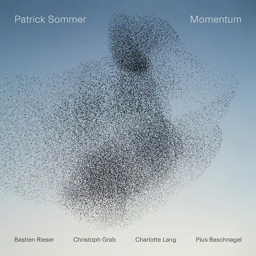 Patrick Sommer, Christoph Grab, Charlotte Lang, Pius Baschnagel, Bastien Rieser / Momentum