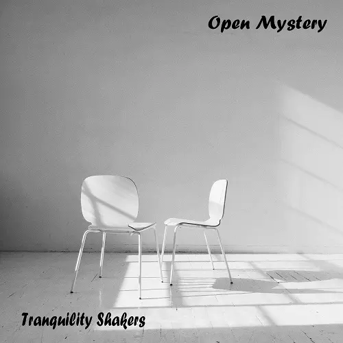 Asphalt Vultures / Open Mystery