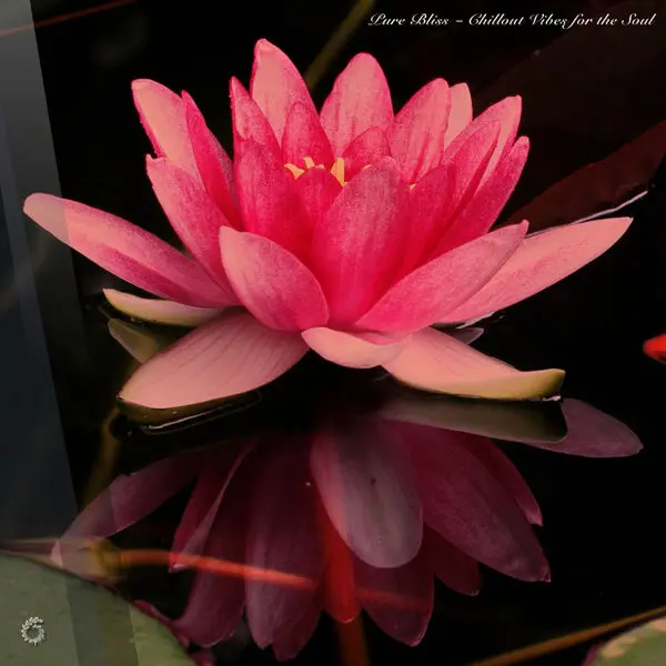 Pure Bliss - Chillout Vibes for the Soul