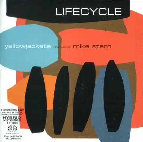 Yellowjackets feat.Mike Stern - Lifecycle - 2008