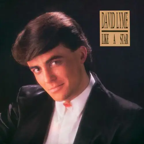 David Lyme - Like A Star 1987