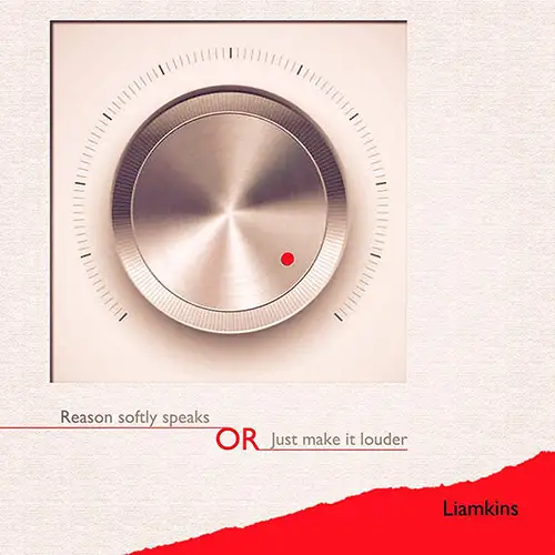 Liamkins / Reason Softly Speaks Or Just Make It Louder 2013