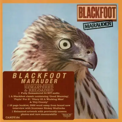 Blackfoot / Marauder 1981/2013