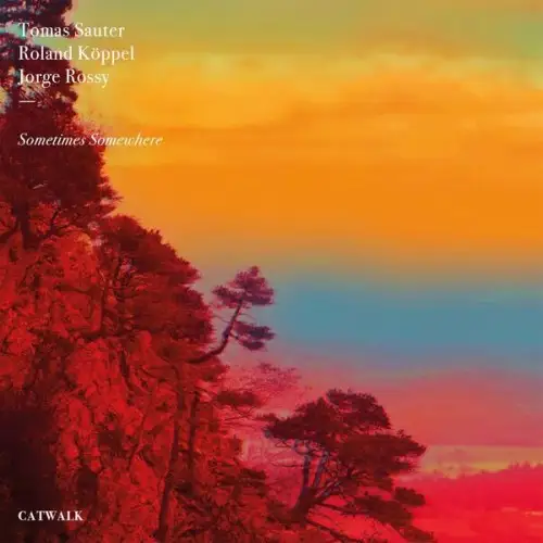 Tomas Sauter, Roland Koppel, Jorge Rossy / Sometimes Somewhere
