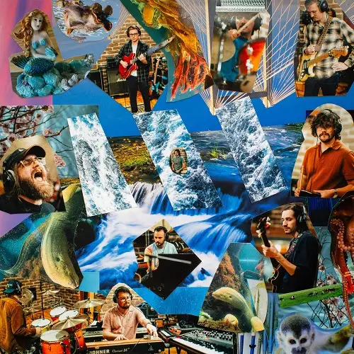 Project Steve / Newton B. Nancy 2026