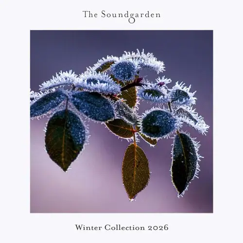 Winter Collection 2026