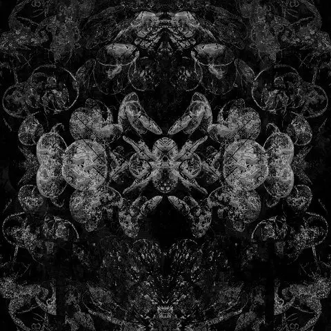 Mellonella / Galleria