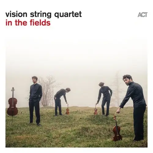 Vision string quartet / In the fields
