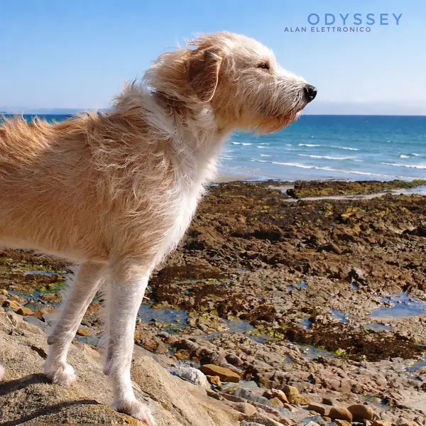 Alan Elettronico — Odyssey