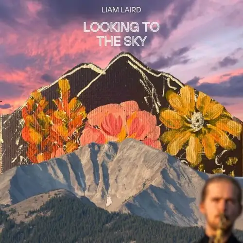 Liam Laird / Looking To The Sky