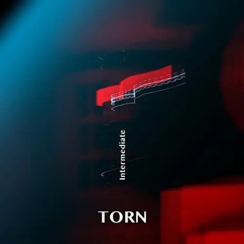 Torn / Intermediate 2026