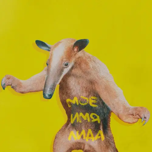 Lida / Мое имя Лида 2021