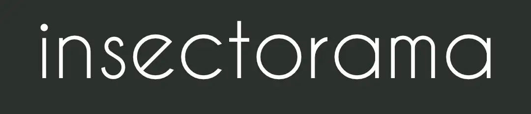 Variations Of Chords (Part. 1-3) 2023