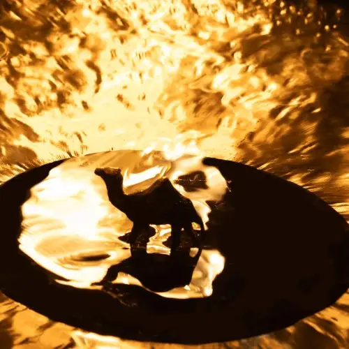 Brass Camel - Brass Camel - 2026