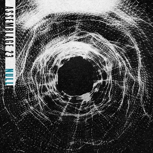 Assemblage 23 / Null '2025