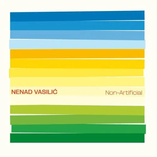 Nenad Vasilic / Non-Artificial
