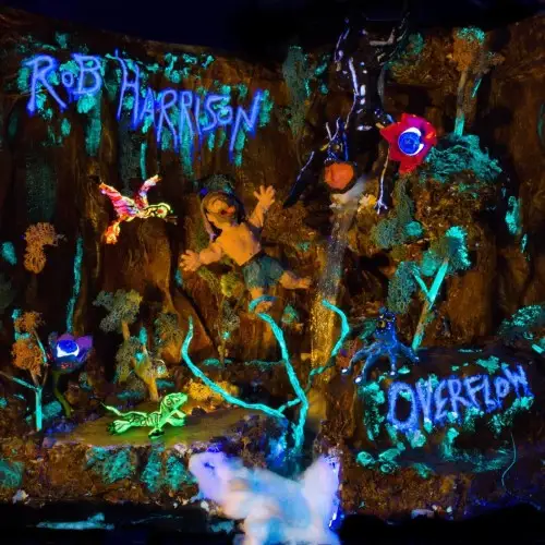Rob Harrison - Overflow - 2026