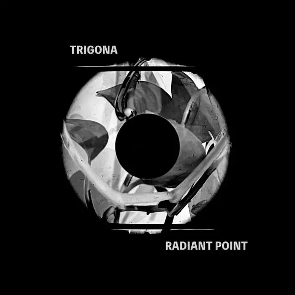 Trigona / Radiant Point