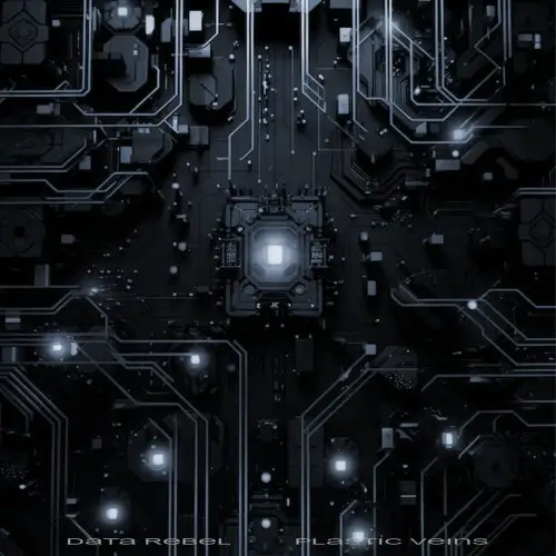 Data Rebel / Plastic Veins