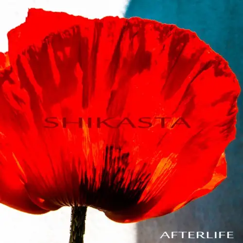 Afterlife / Shikasta