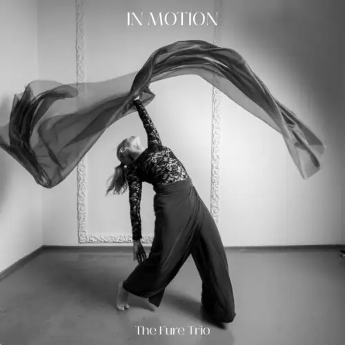 The Fure Trio / In Motion