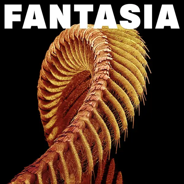 Slift / Fantasia