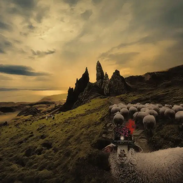 Franck Carducci - 2026 - Sheeple
