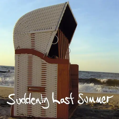 Jimmy Somerville / Suddenly Last Summer 2009