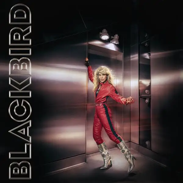 Blackbird / Do You Read Me!?