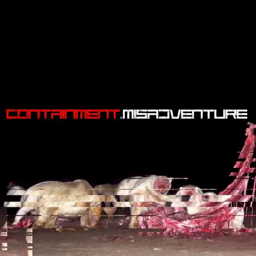 Containment — Misadventure