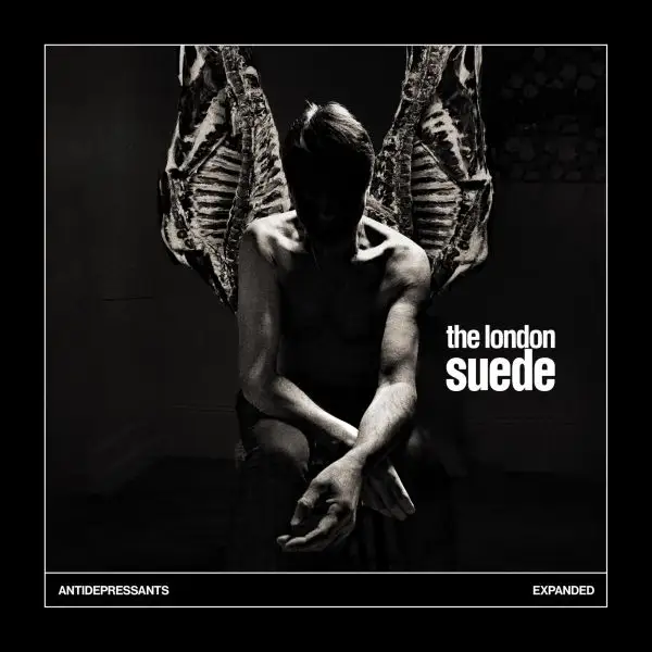 Suede / Antidepressants: Expanded 2026