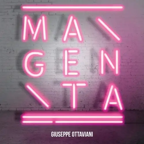 Giuseppe Ottaviani / Magenta 2013